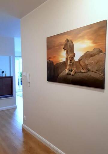 Фото номера Апартаменты Апартаменты Lion Zen Apartment г. Прущ-Гданьский 49