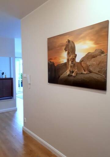 Фото номера Апартаменты Апартаменты Lion Zen Apartment г. Прущ-Гданьский 16